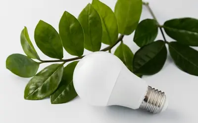 Gwarancje pochodzenia- analiza rynkowa